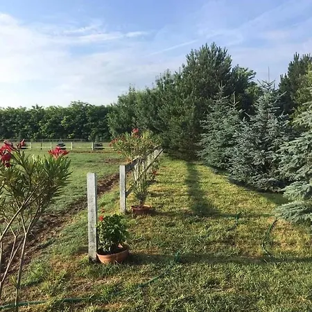 Lakner Lovarda * Bacsalmas