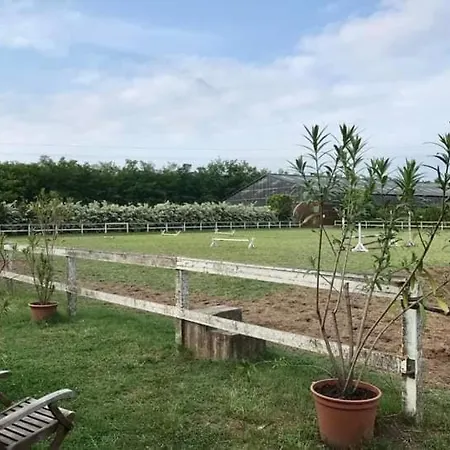 Apartamento Lakner Lovarda Bacsalmas