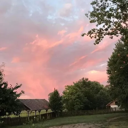 Lakner Lovarda Apartment